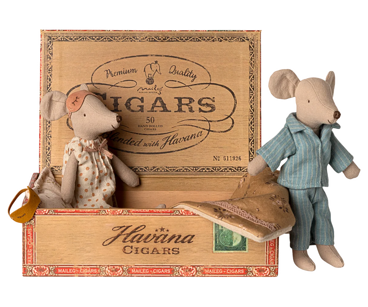 Mama & Papa Mäuse in Zigarrenkiste – Bild 3
